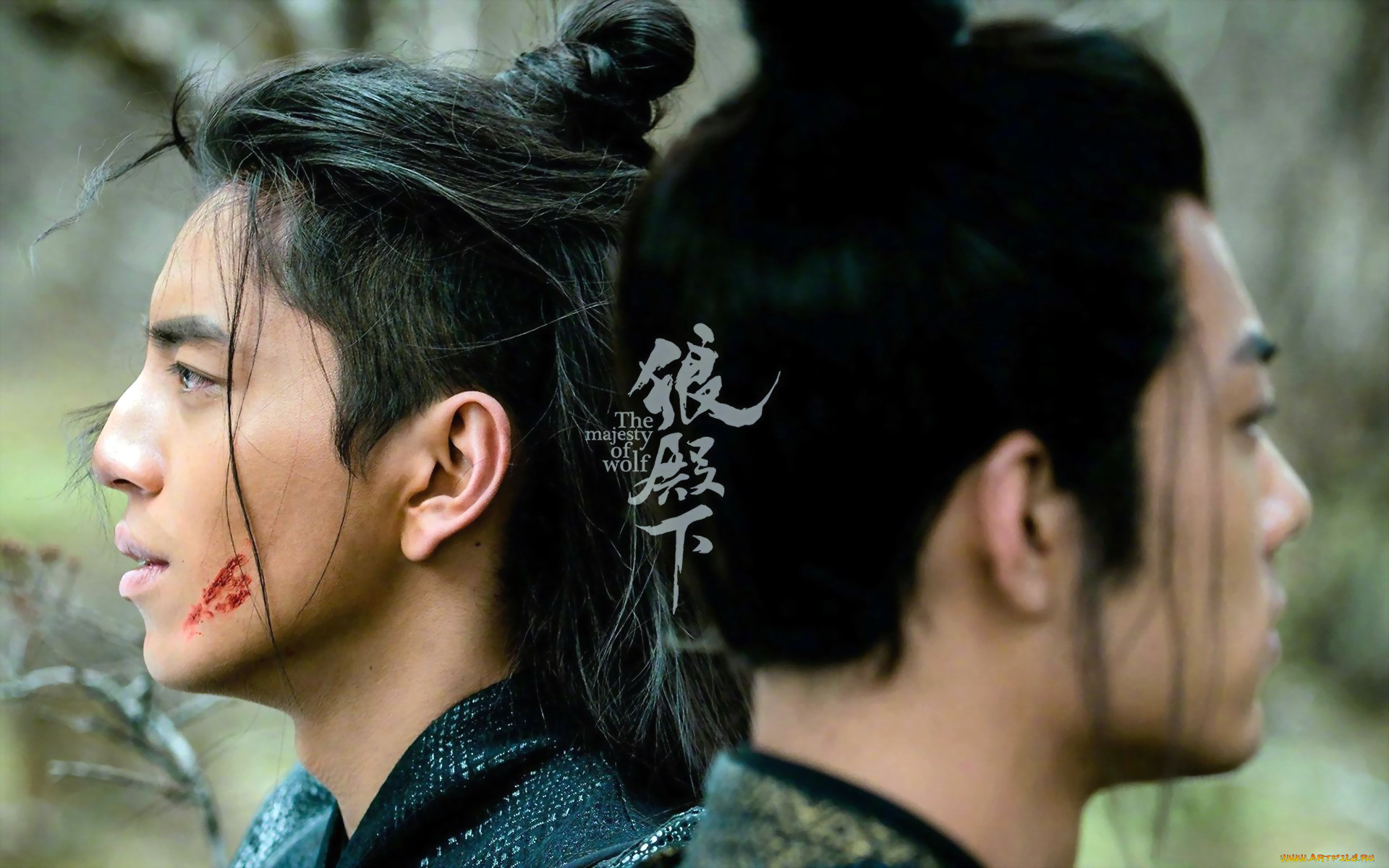  , the wolf, 